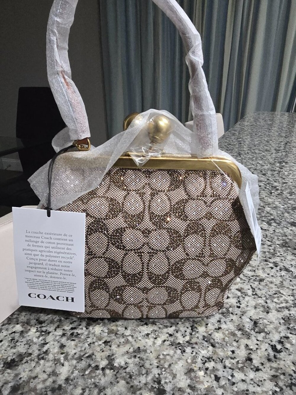Crystal Kisslock bag
